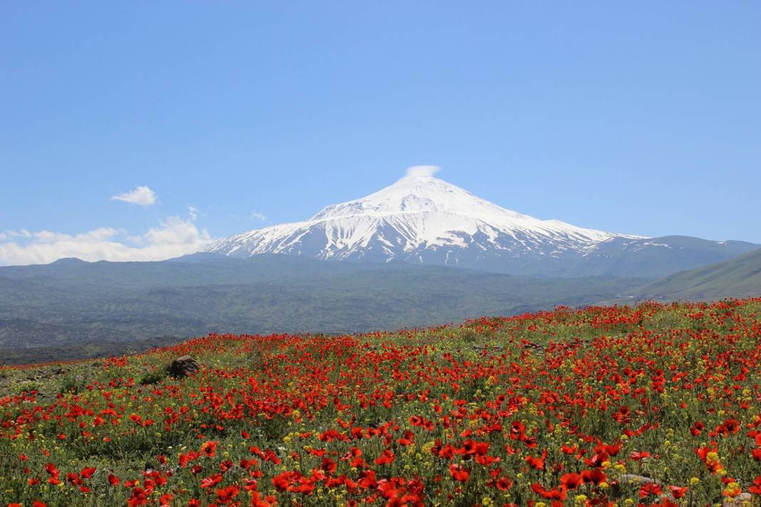 Türkiye'nin en zeki şehirleri belli oldu. Her şehrin IQ haritası çıkartıldı. İlk sıradaki ilimiz herkesi şaşırttı - Resim: 13