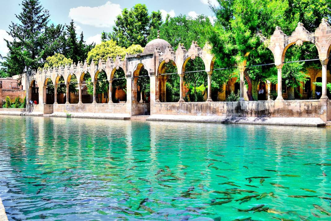 Türkiye'nin en zeki şehirleri belli oldu. Her şehrin IQ haritası çıkartıldı. İlk sıradaki ilimiz herkesi şaşırttı - Resim: 23