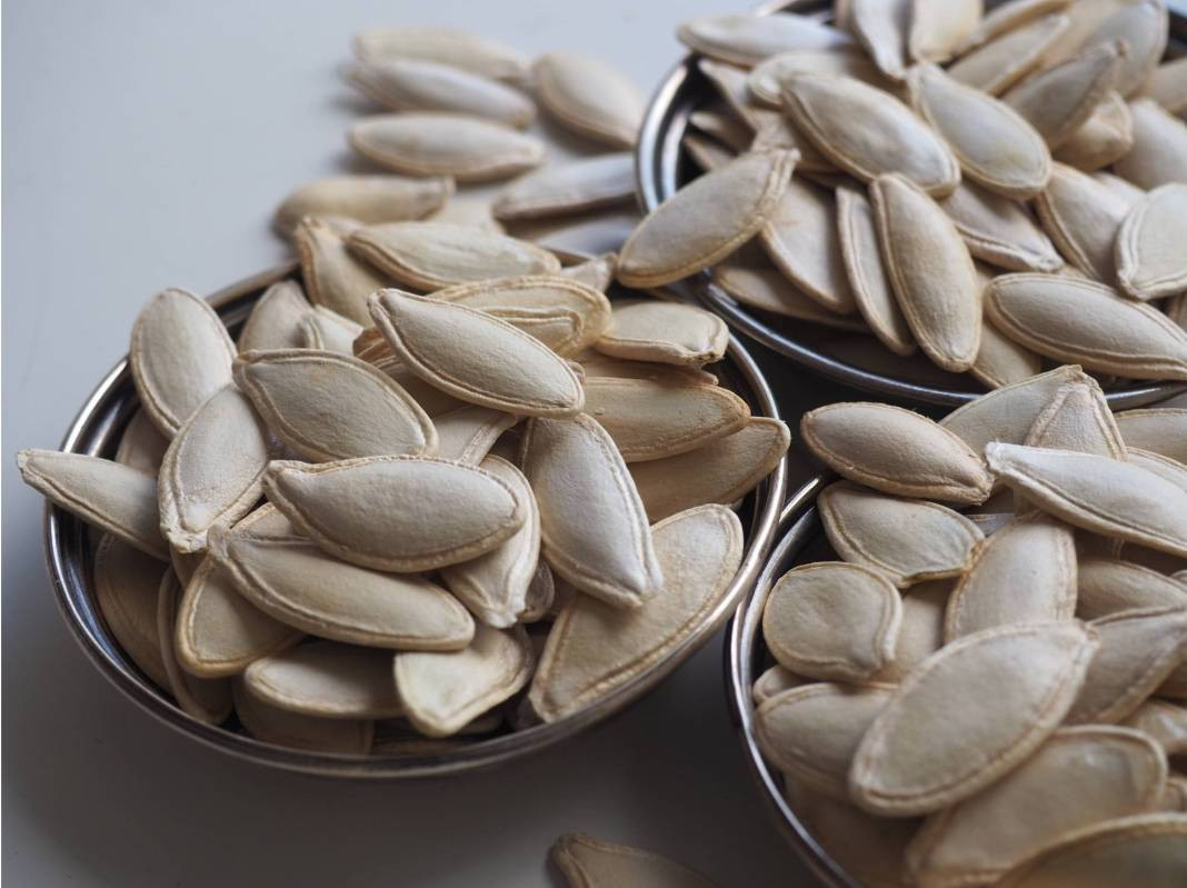 Kabak çekirdeğinin kabuğu şifa deposu çıktı. O problemi kökten bitiriyor - Resim: 9