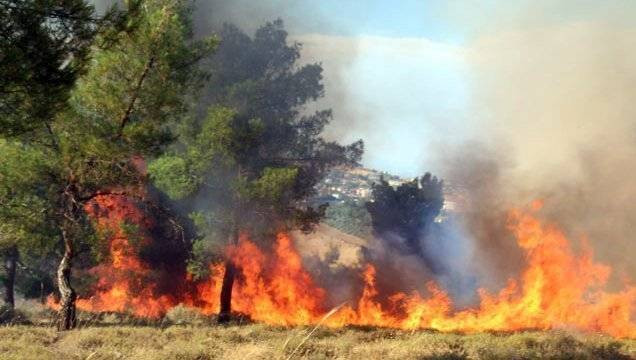 Adana'da yasaklandı. Valilik duyurdu - Resim: 2