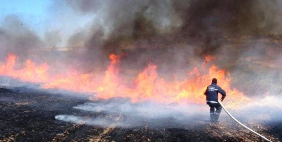 Adana'da yasaklandı. Valilik duyurdu - Resim: 7