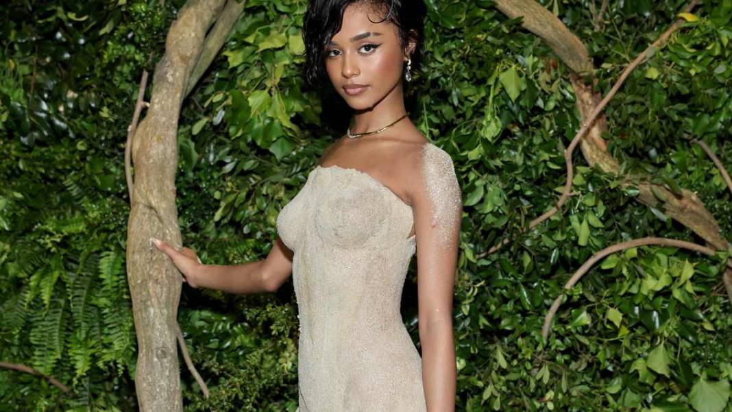 Elbisesi yüzünden merdivenleri çıkamadı. Kucaklanarak çıkarıldı - Resim: 6