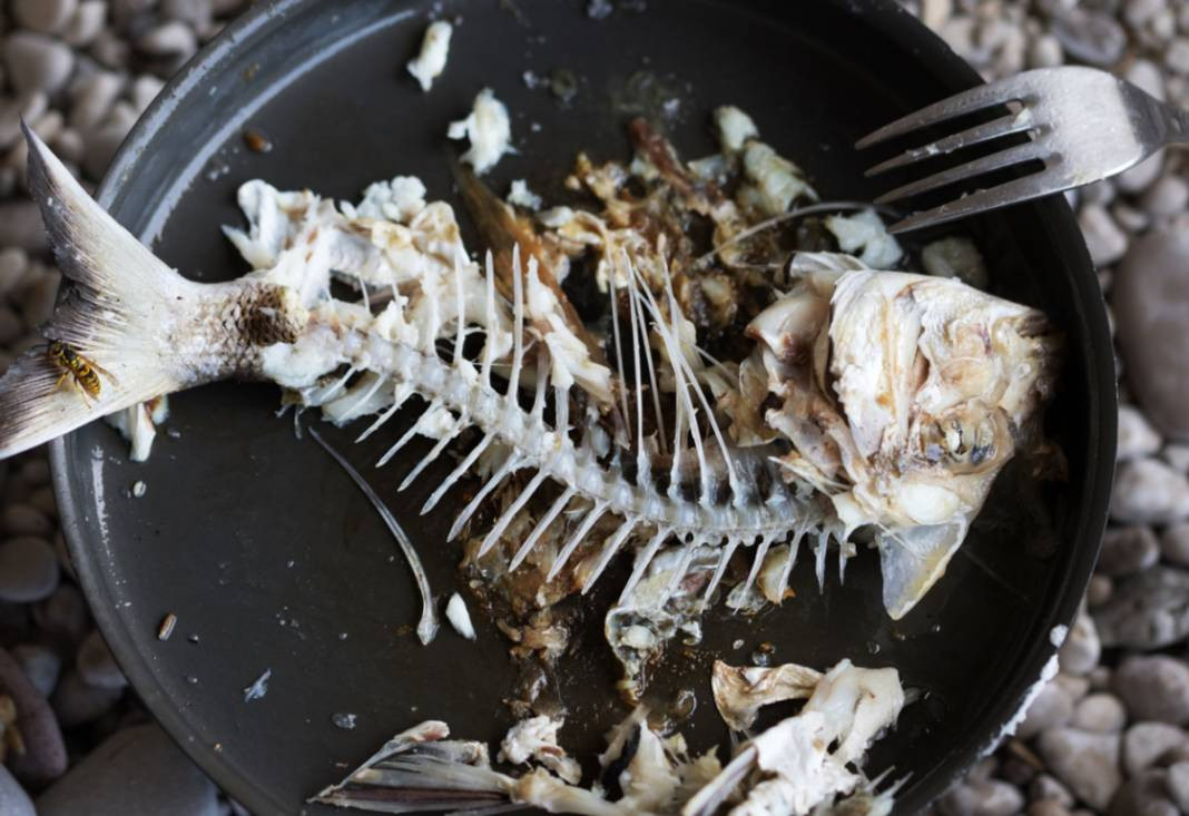 Boğazınıza balık kılçığı kaçarsa sakın bunları yapmayın - Resim: 4