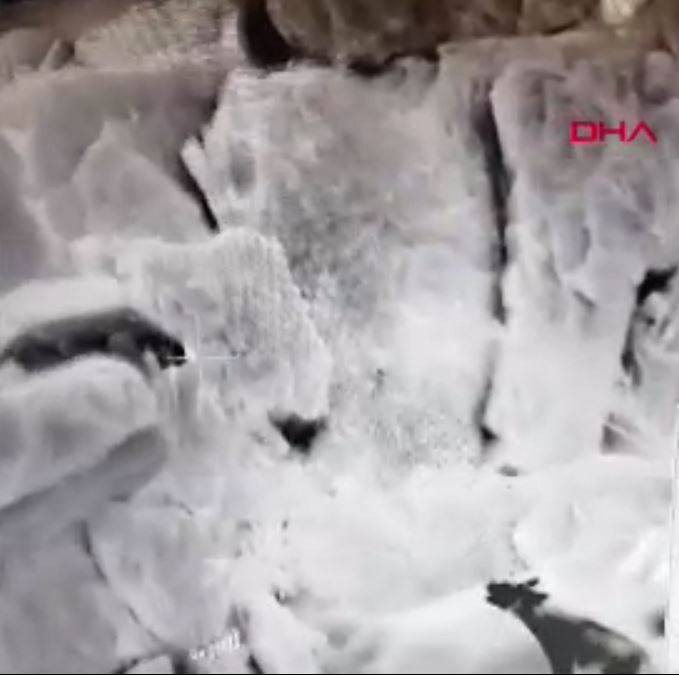 Anadolu parsı ile sırtlan karşı karşıya geldi - Resim: 1