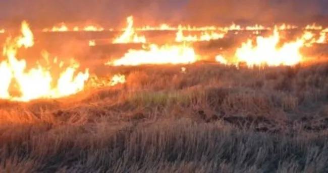 Adana'da yasaklandı. Valilik duyurdu - Resim: 10
