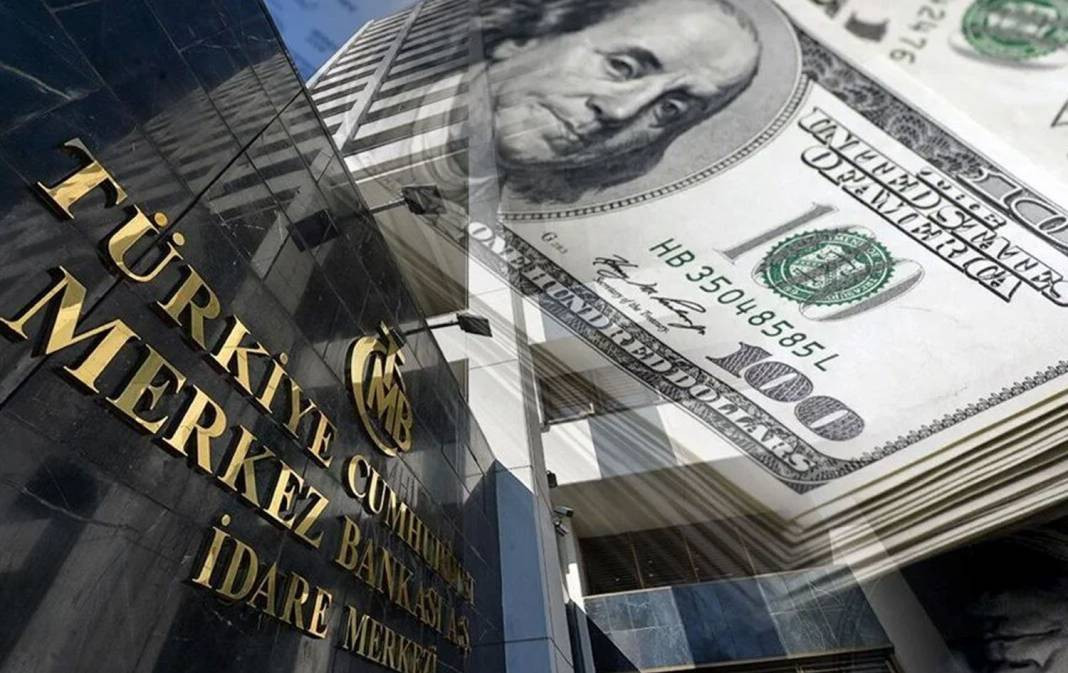 Merkez Bankası’ndan bugüne kadarki en yüksek alım. Geçen hafta sessiz sedasız yapmışlar - Resim: 1