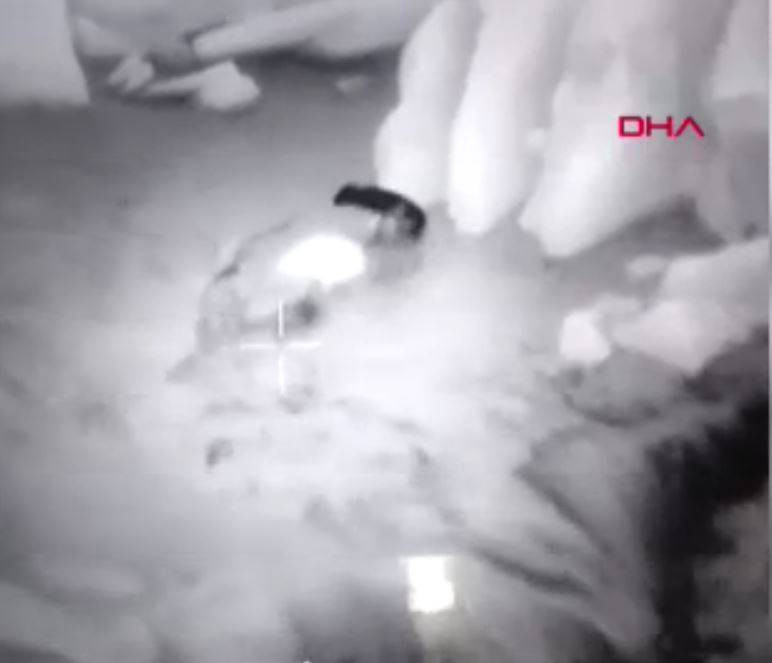 Anadolu parsı ile sırtlan karşı karşıya geldi - Resim: 6