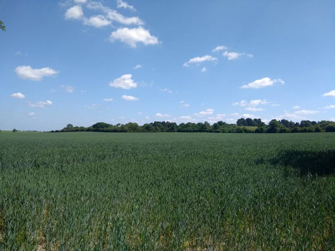 Milli Emlak sudan ucuza arsa satıyor. Koşan alacak peşin ödeyene indirim - Resim: 10