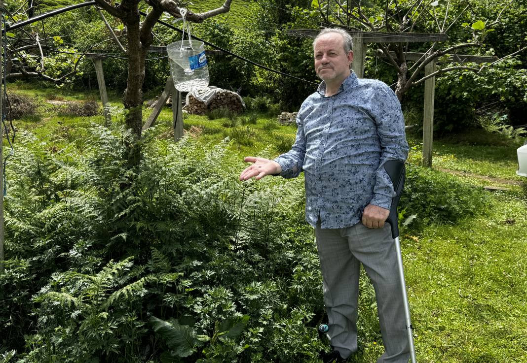 İlk olarak 2017 yılında görüldü, bölgede yayılmadığı il kalmadı - Resim: 12