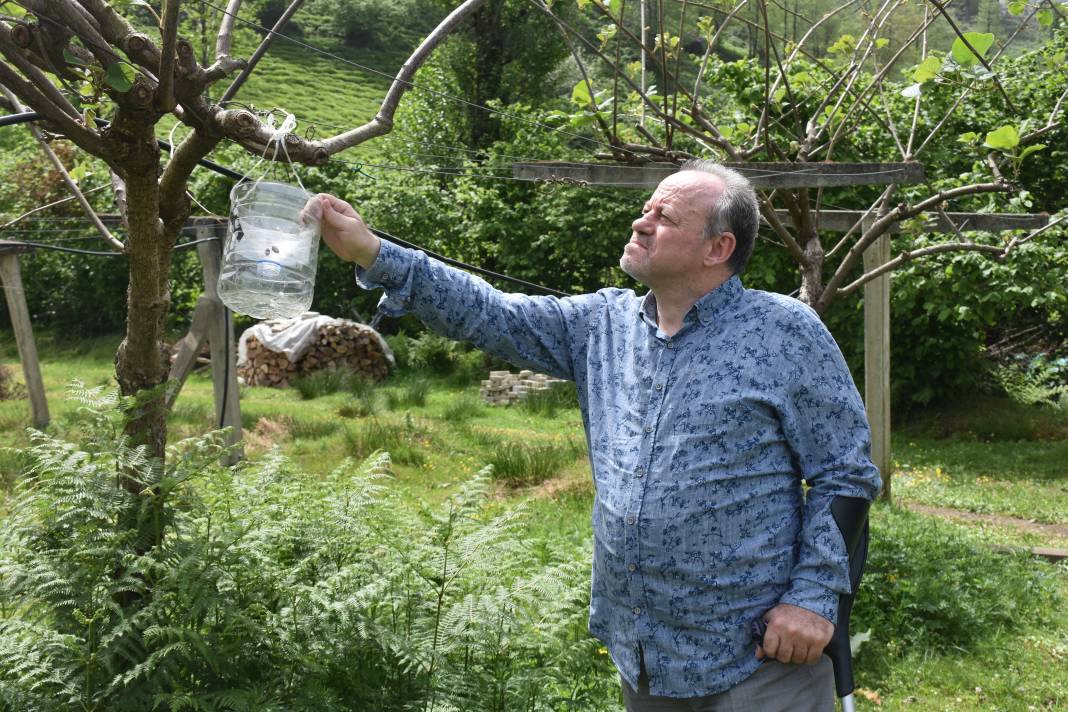 İlk olarak 2017 yılında görüldü, bölgede yayılmadığı il kalmadı - Resim: 11