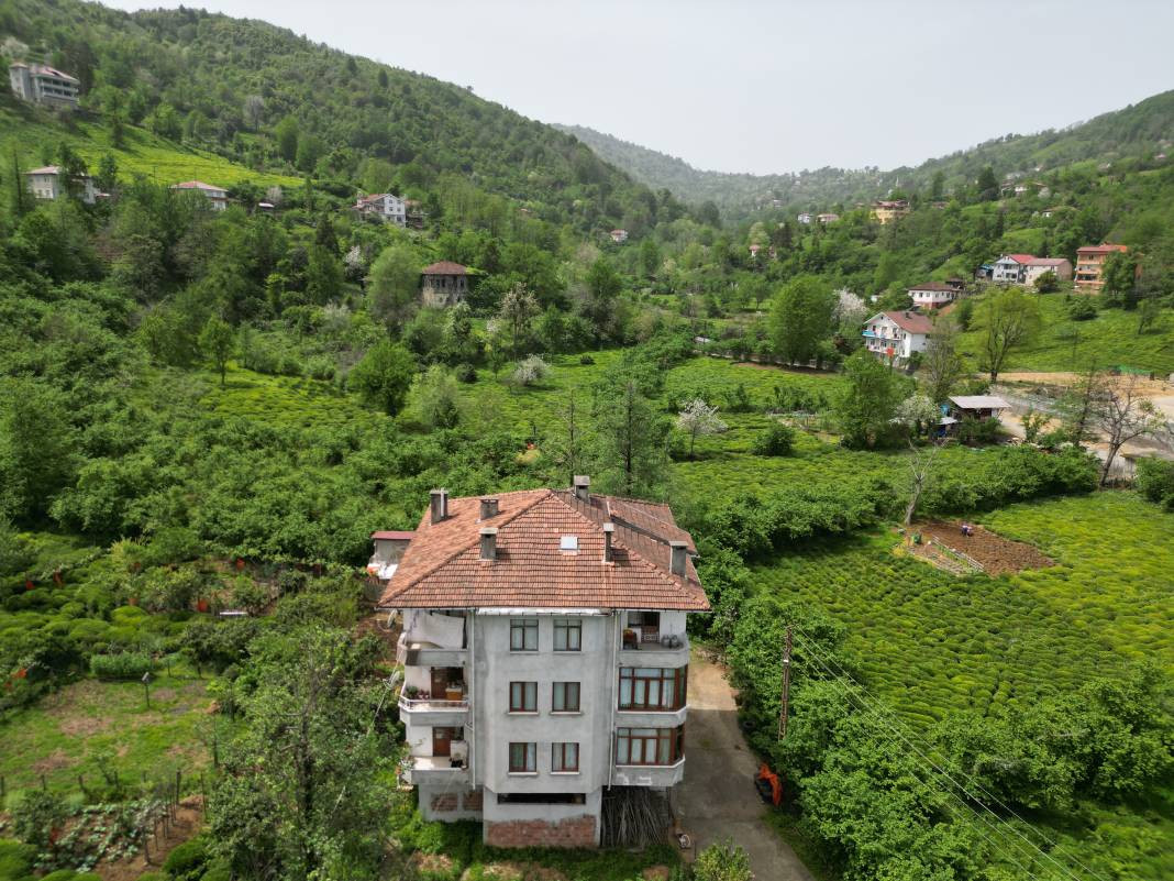 İlk olarak 2017 yılında görüldü, bölgede yayılmadığı il kalmadı - Resim: 2
