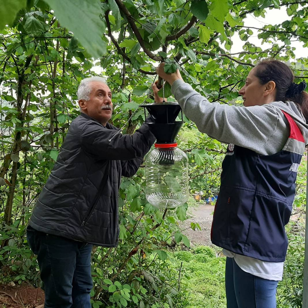 İlk olarak 2017 yılında görüldü, bölgede yayılmadığı il kalmadı - Resim: 7