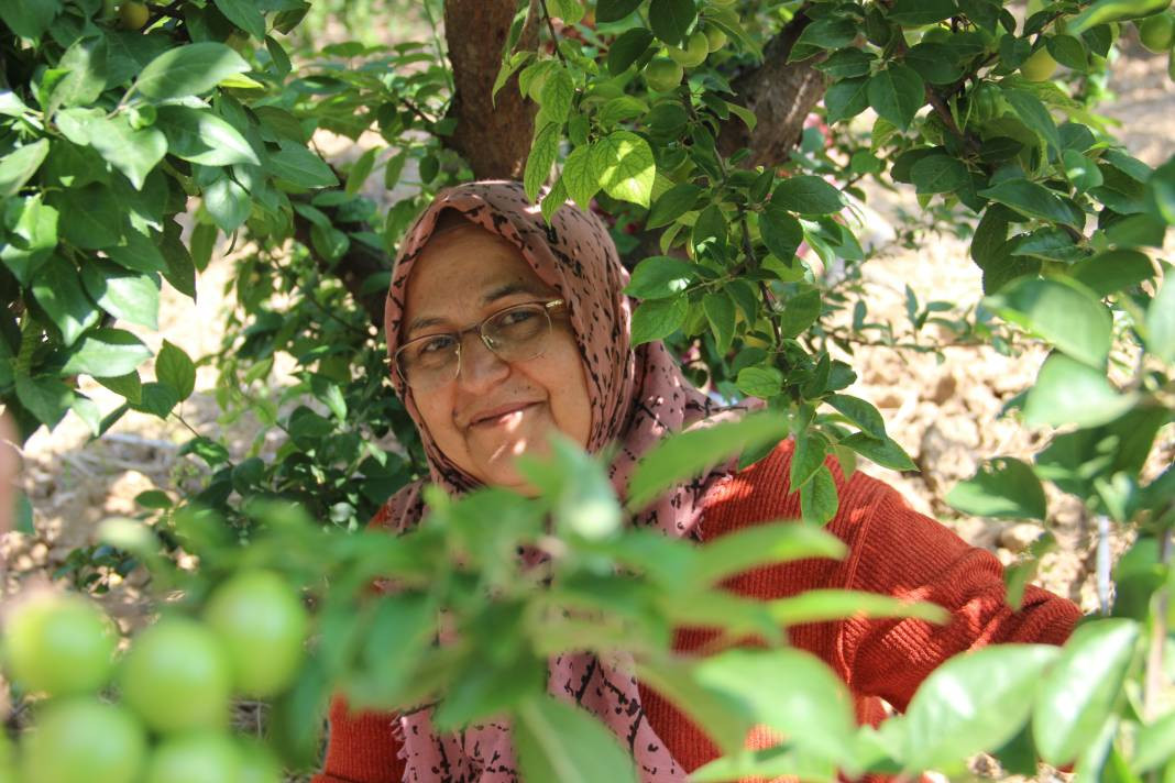 Kilosu 100 TL'ye kadar gidiyor. Hasadı bu sene erkenden başladı - Resim: 6