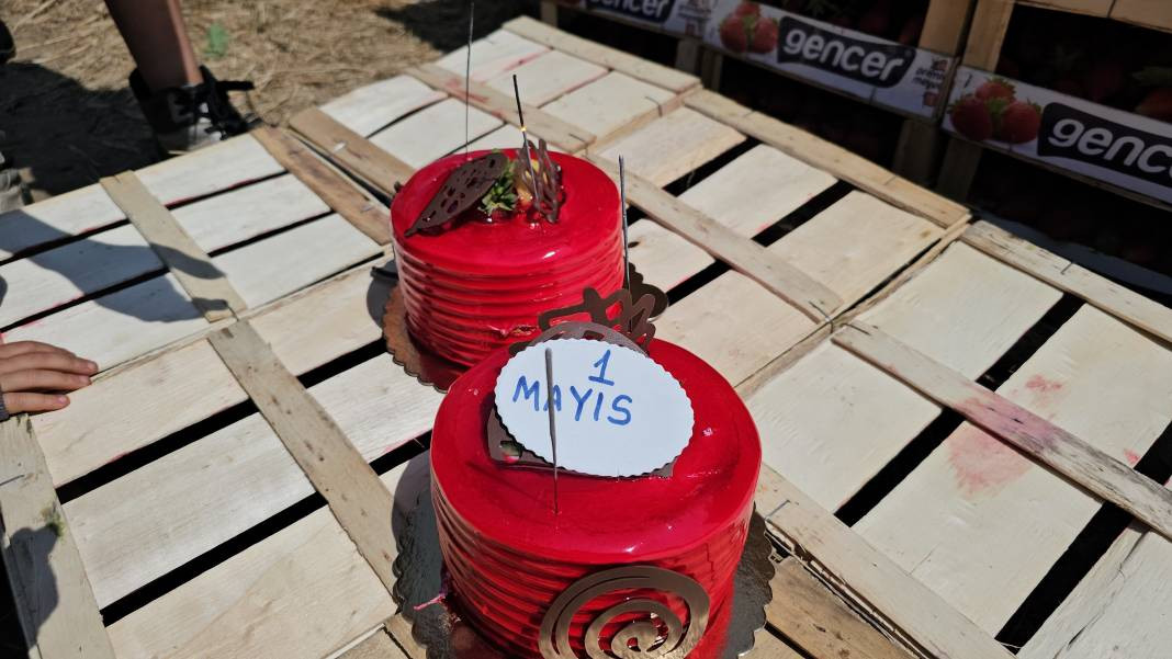 İşçi bayramını meydanda değil, tarlada kutladılar - Resim: 2