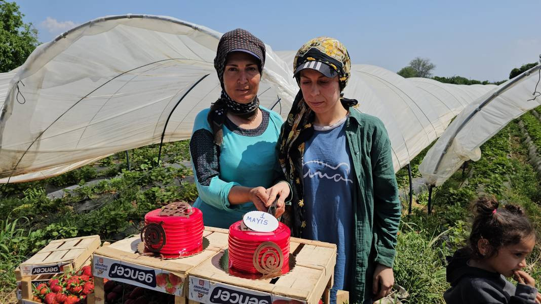 İşçi bayramını meydanda değil, tarlada kutladılar - Resim: 3