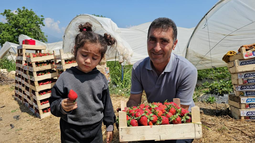 İşçi bayramını meydanda değil, tarlada kutladılar - Resim: 8