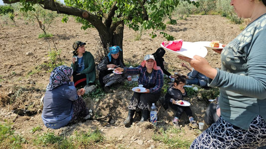 İşçi bayramını meydanda değil, tarlada kutladılar - Resim: 4