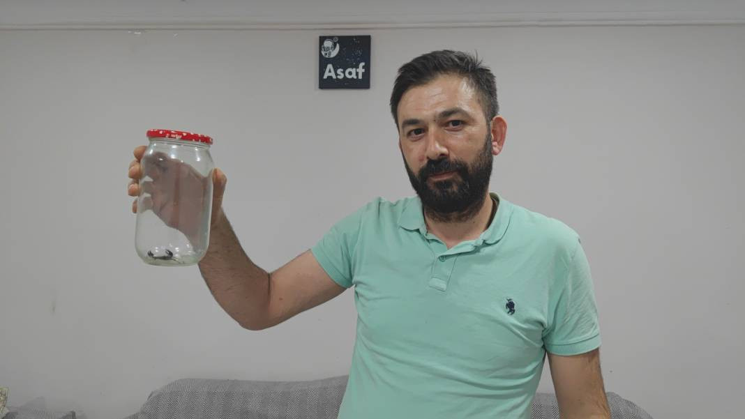 Sultangazi'de eve giren akrep paniğe neden oldu - Resim: 2
