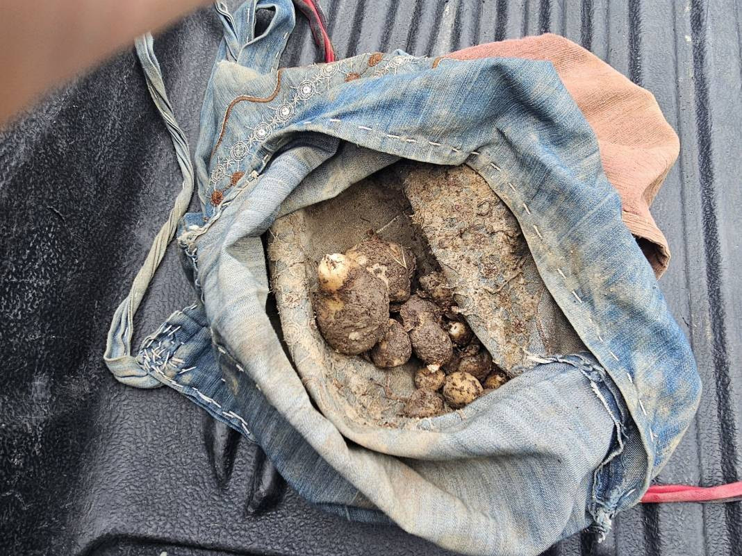 Biyolojik kaçakçılara rekor ceza: Yasak olmasına rağmen topladılar - Resim: 3