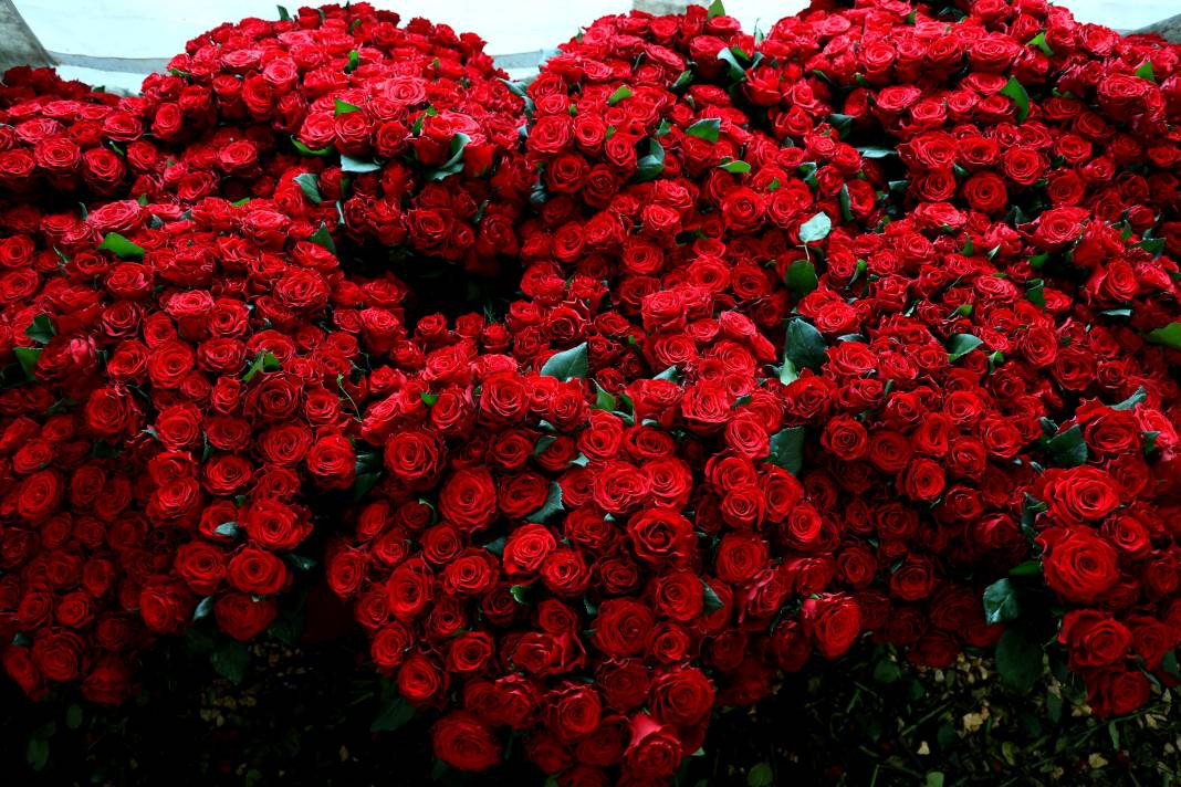 Tarlada tanesi 3, dükkanda 30, internette 50 TL'den satılıyor. Her dönüm 8 bin adet ürün veriyor - Resim: 1