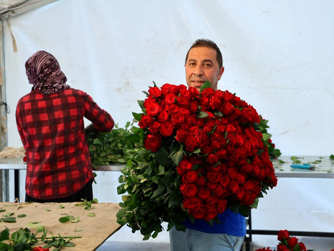 Tarlada tanesi 3, dükkanda 30, internette 50 TL'den satılıyor. Her dönüm 8 bin adet ürün veriyor - Resim: 2