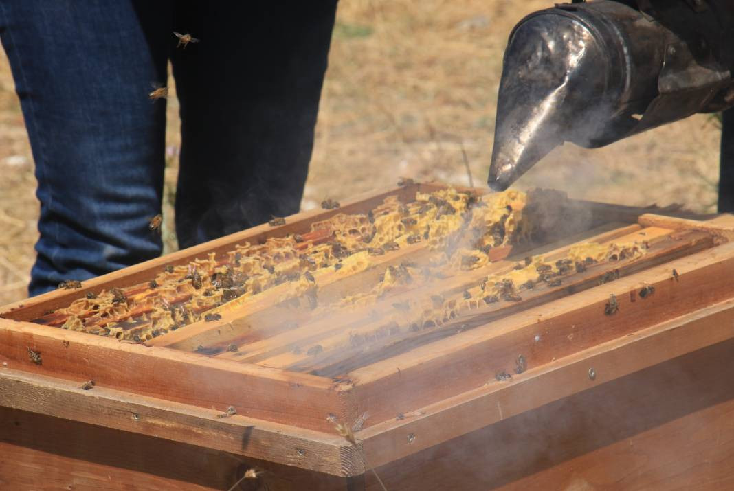 Gerçek bal diye yediğiniz şoke edecek! 50 TL'ye reçel yok - Resim: 1