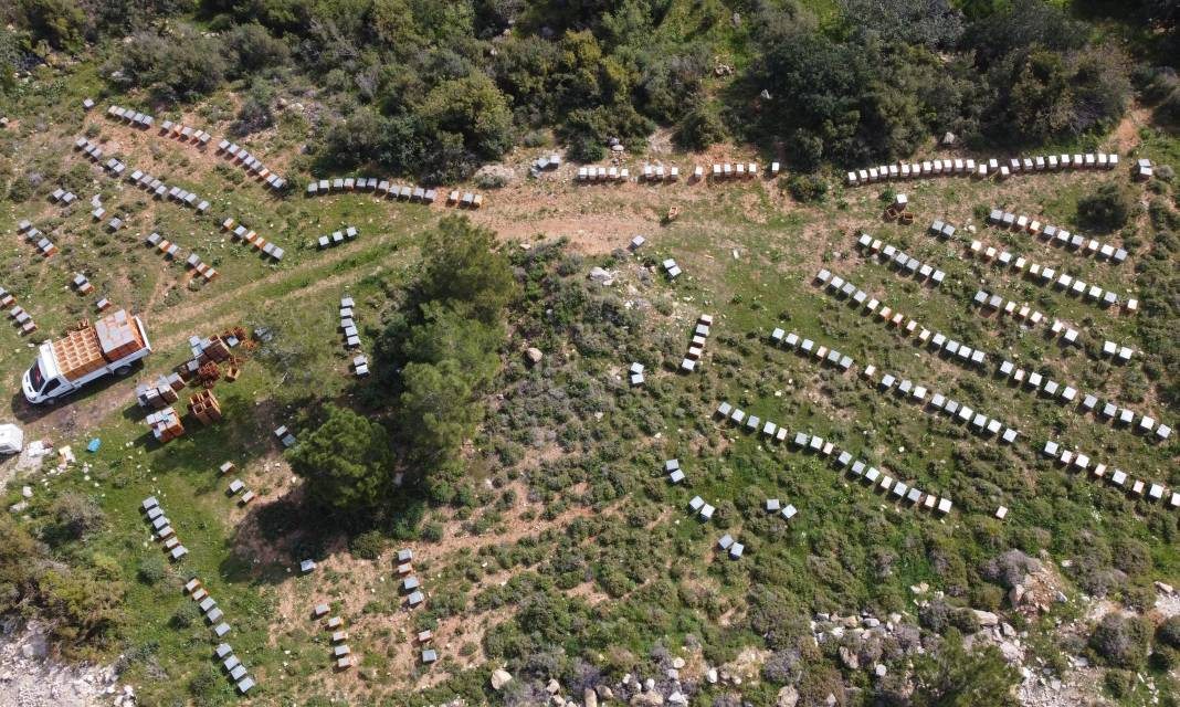 Gerçek bal diye yediğiniz şoke edecek! 50 TL'ye reçel yok - Resim: 2
