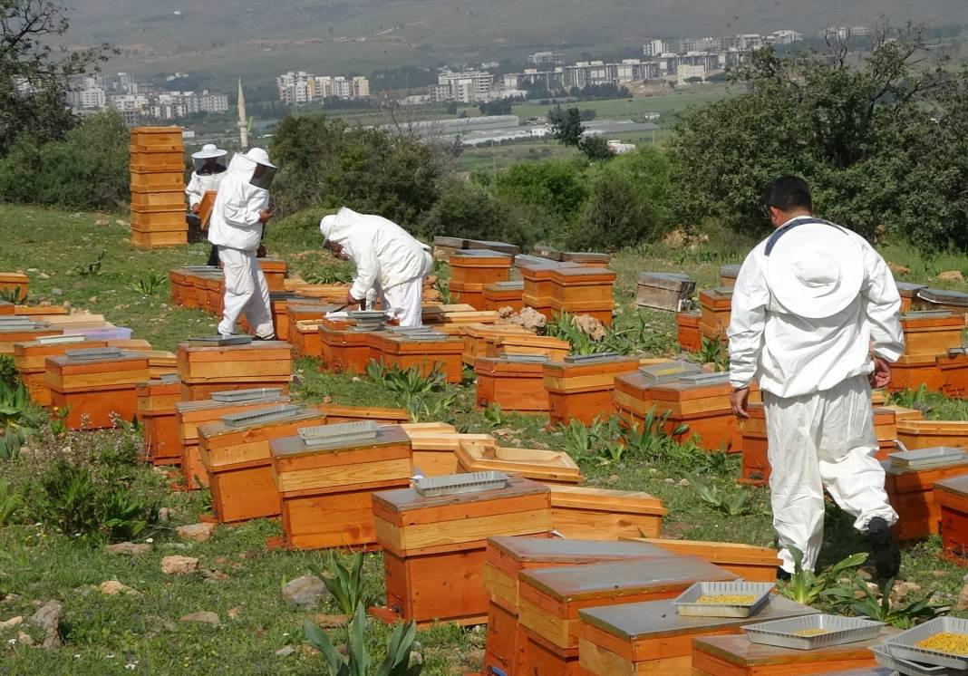 Gerçek bal diye yediğiniz şoke edecek! 50 TL'ye reçel yok - Resim: 7