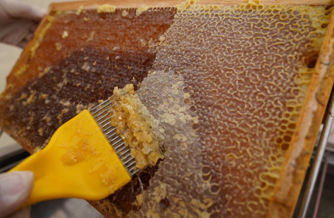 Gerçek bal diye yediğiniz şoke edecek! 50 TL'ye reçel yok - Resim: 3