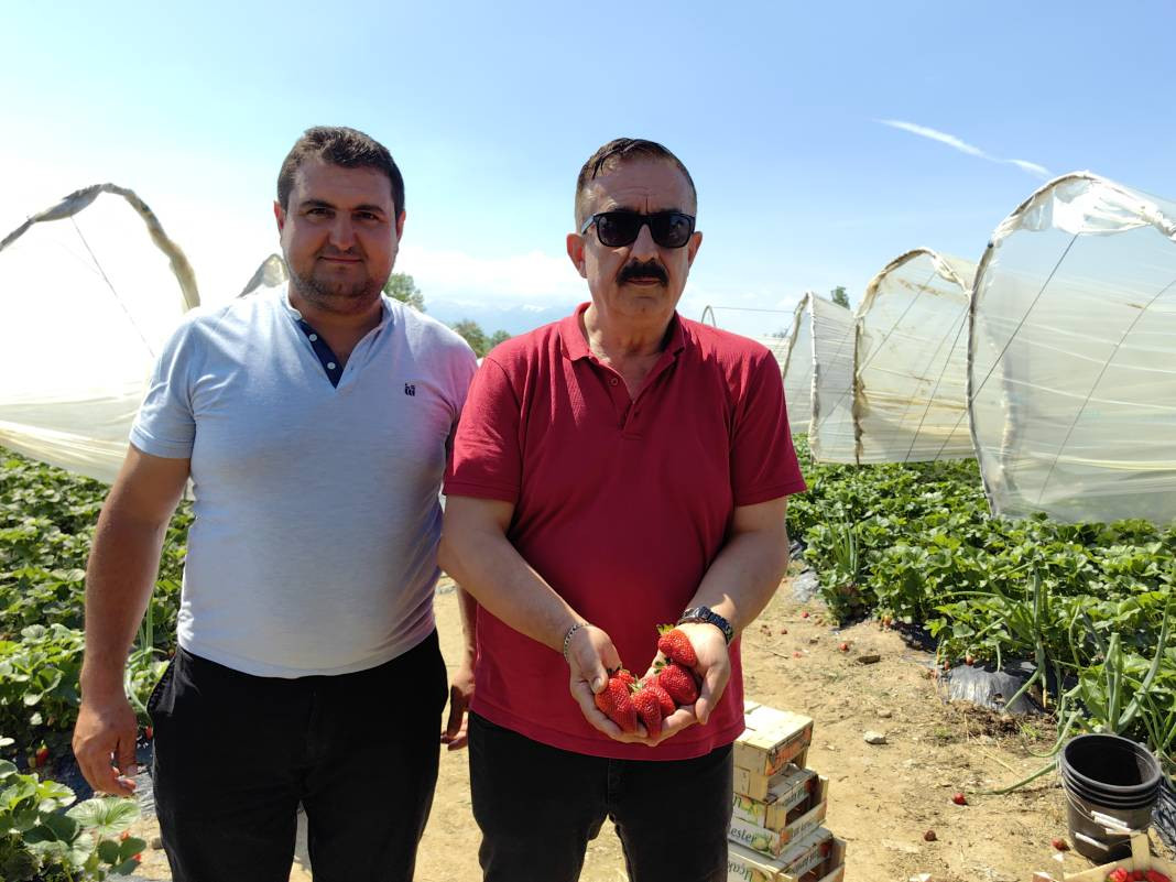 'Kırmızı elmas' diye biliniyor kilosu 40 TL'ye gidiyor. Türkiye’nin dört bir yanından talep ediliyor - Resim: 8