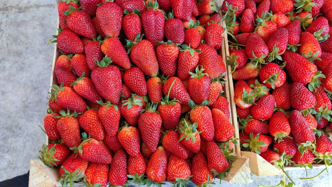 'Kırmızı elmas' diye biliniyor kilosu 40 TL'ye gidiyor. Türkiye’nin dört bir yanından talep ediliyor - Resim: 4