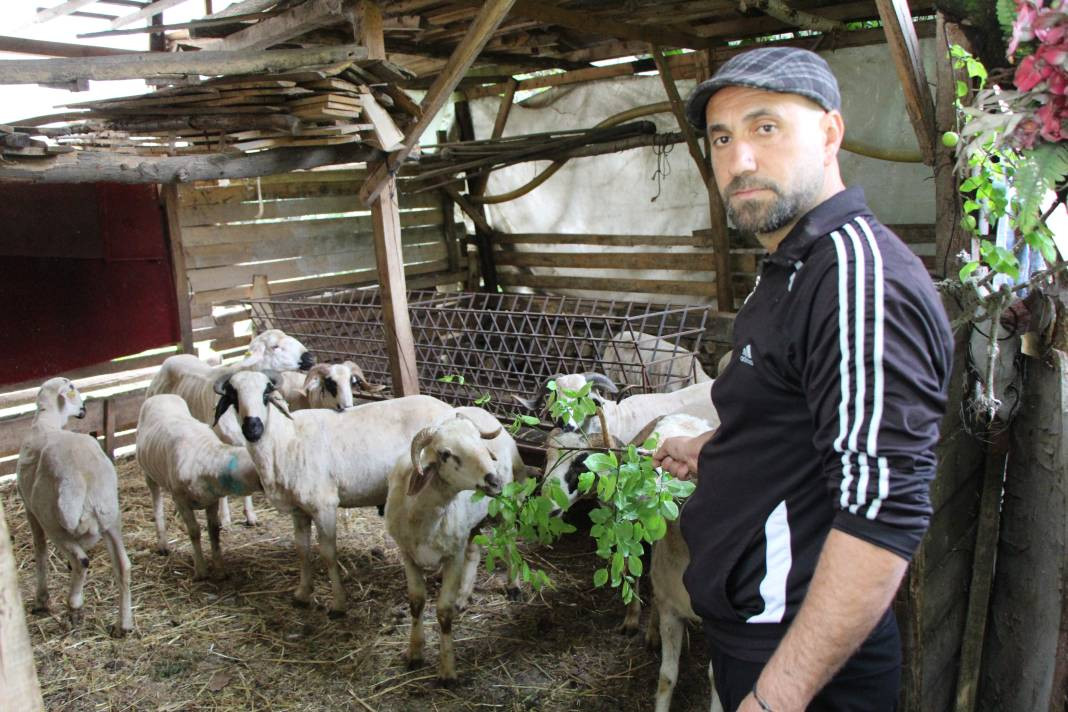 Köpekler kaçırdı azgın kurtlar parçaladı. Köylünün hayali yıkıldı - Resim: 6