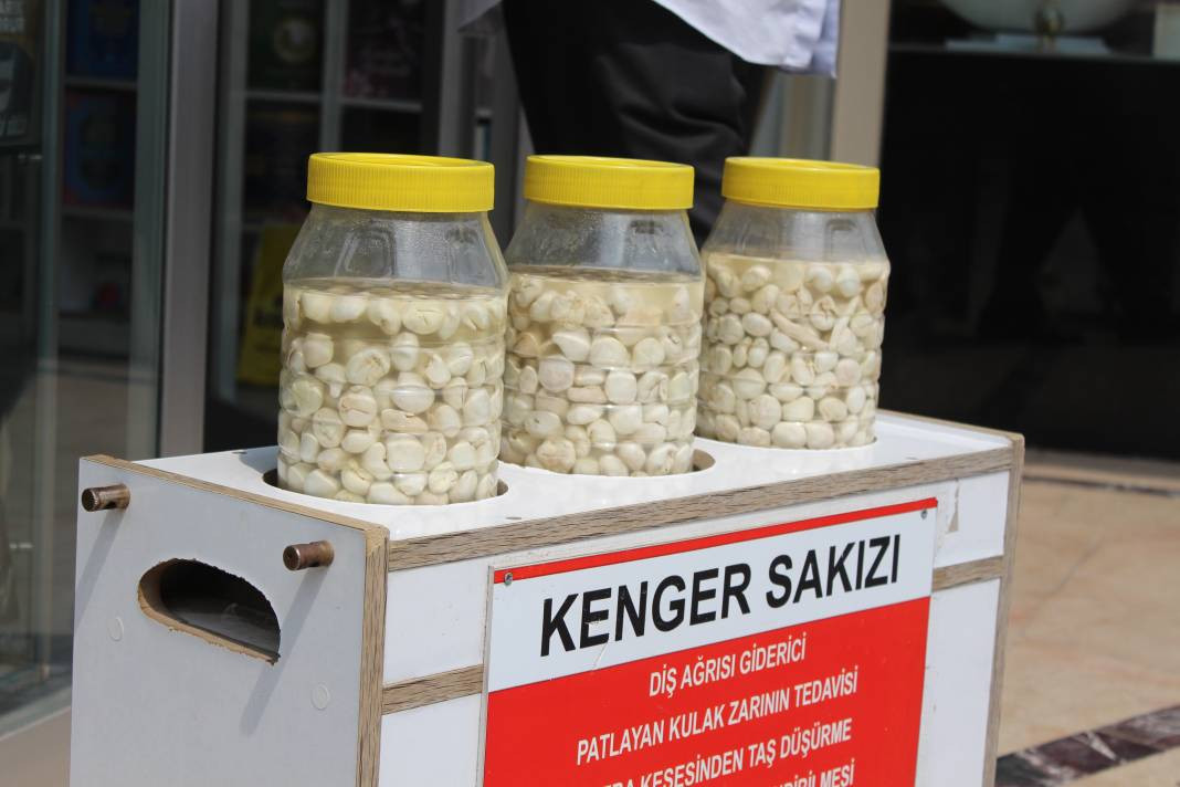 Fiyatı çeyrek altını geçti. Kenger sakızının kilosu 5 bin TL - Resim: 12