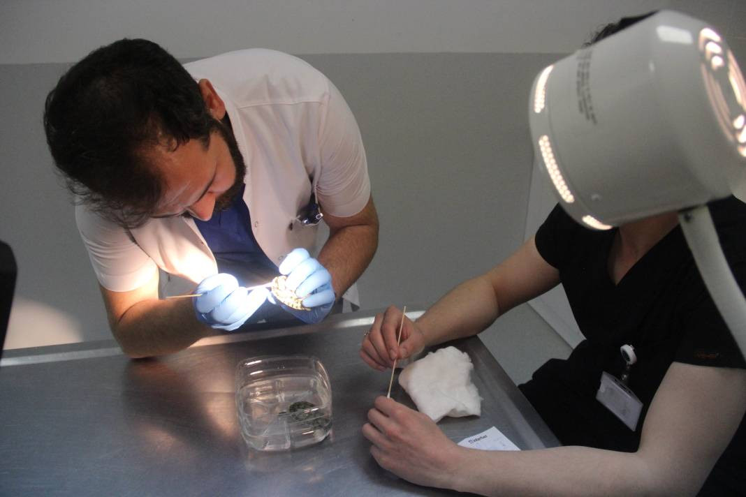 Hayvanseverler dikkat, uzmanı uyardı - Resim: 3