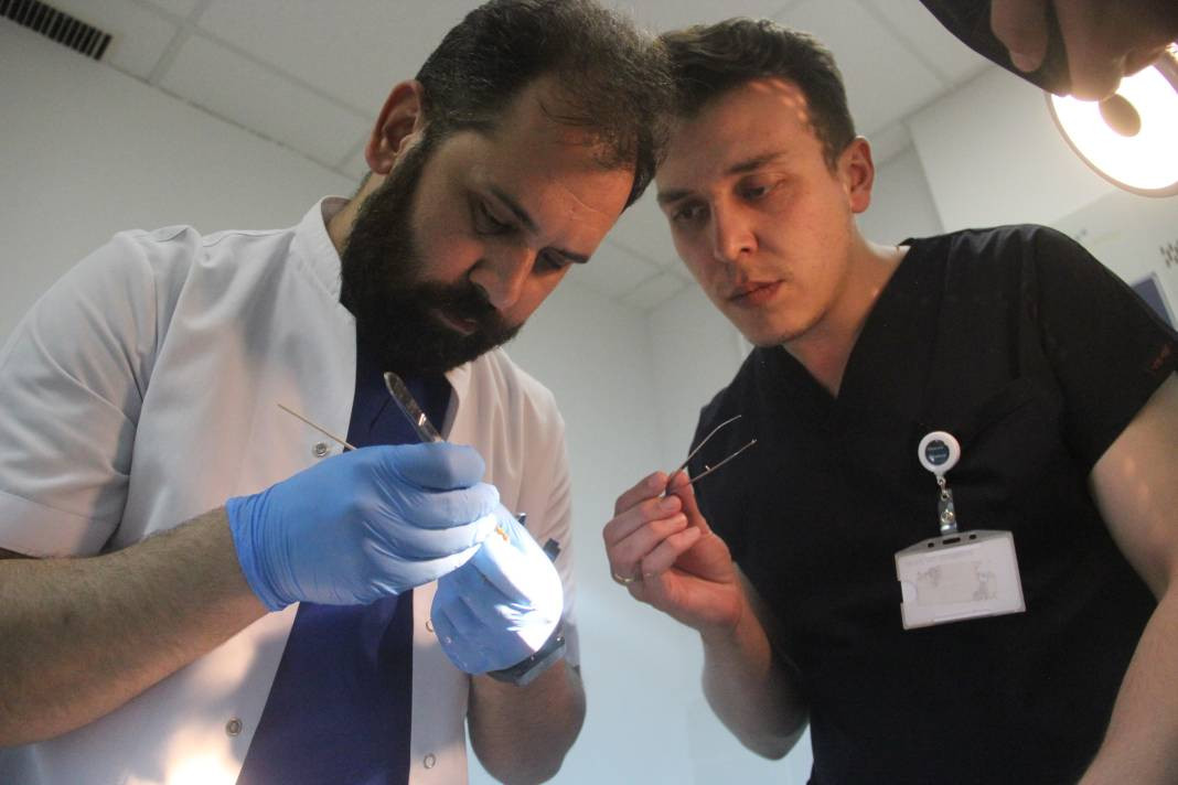 Hayvanseverler dikkat, uzmanı uyardı - Resim: 4