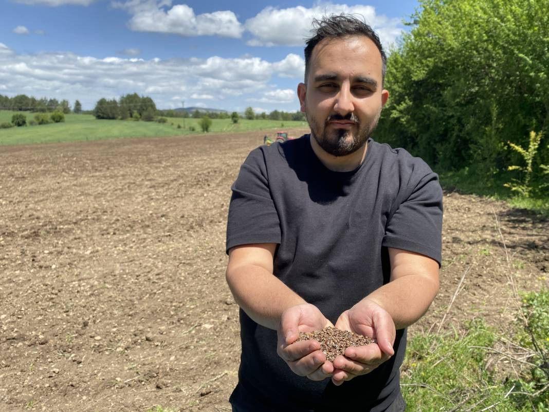 Denemek için ektiler, taleplere yetişemiyorlar! Yaklaşık 1 metreye kadar uzuyor - Resim: 3