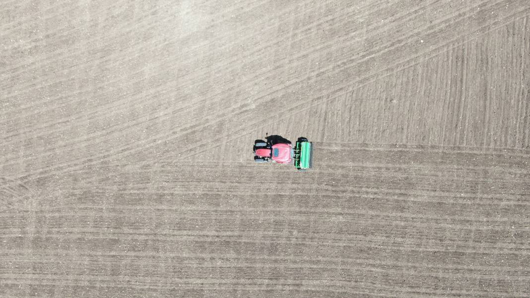 Denemek için ektiler, taleplere yetişemiyorlar! Yaklaşık 1 metreye kadar uzuyor - Resim: 1