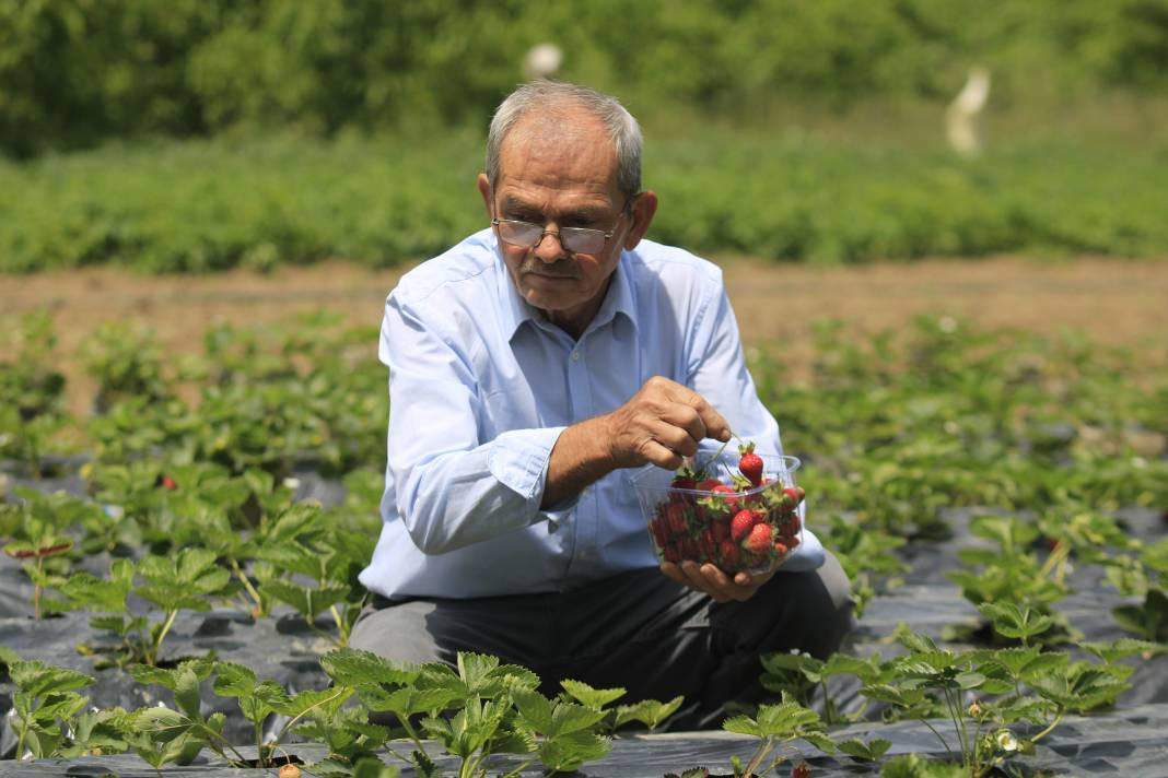Emekli madencinin hobisi adeta para basıyor. Siparişlere yetişemiyor - Resim: 2