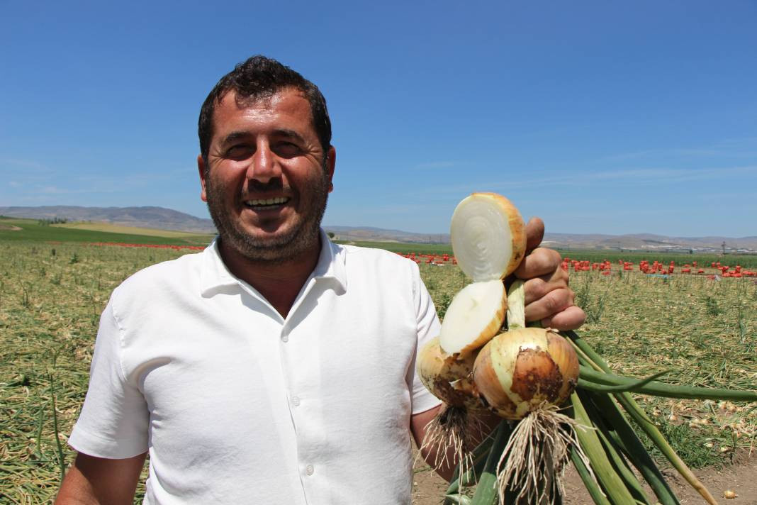 Kilosu tarlada 7 TL'den gidiyor, markette ise fiyatı tam 2 katı. Hasadı başladı - Resim: 6