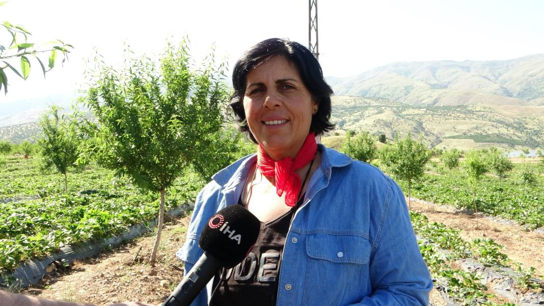 5 dönümle başladı şimdi siparişlere yetişemiyor! Paraya para demiyor - Resim: 5