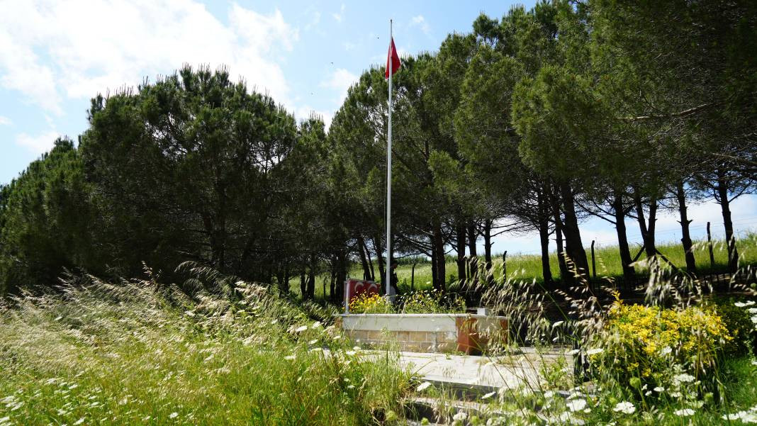 Defineciler şehit mezarlığının etrafını delik deşik etti - Resim: 2