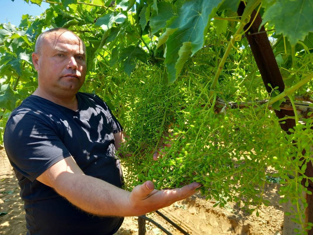 Dünyada eşi benzeri yok boyu şimdiden 25 santimetre. Geçen sene hastalık vurmuştu - Resim: 4