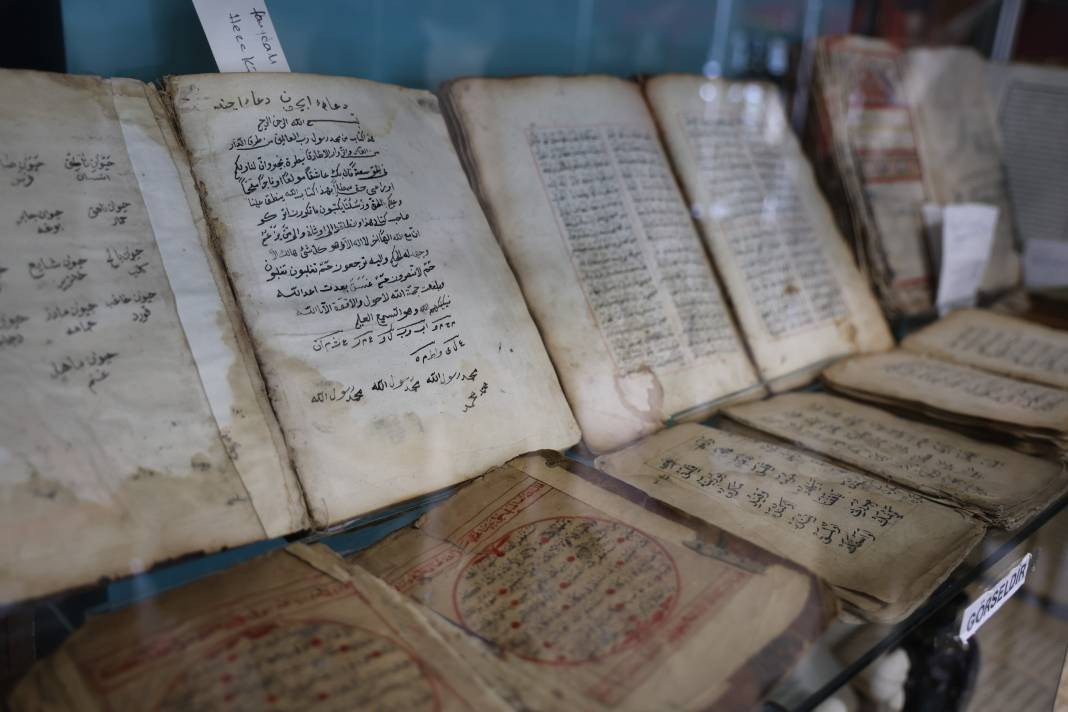 10 yıllık tutkusunu işe çevirdi! Tam bin 200 adetini görücüye çıkardı - Resim: 3