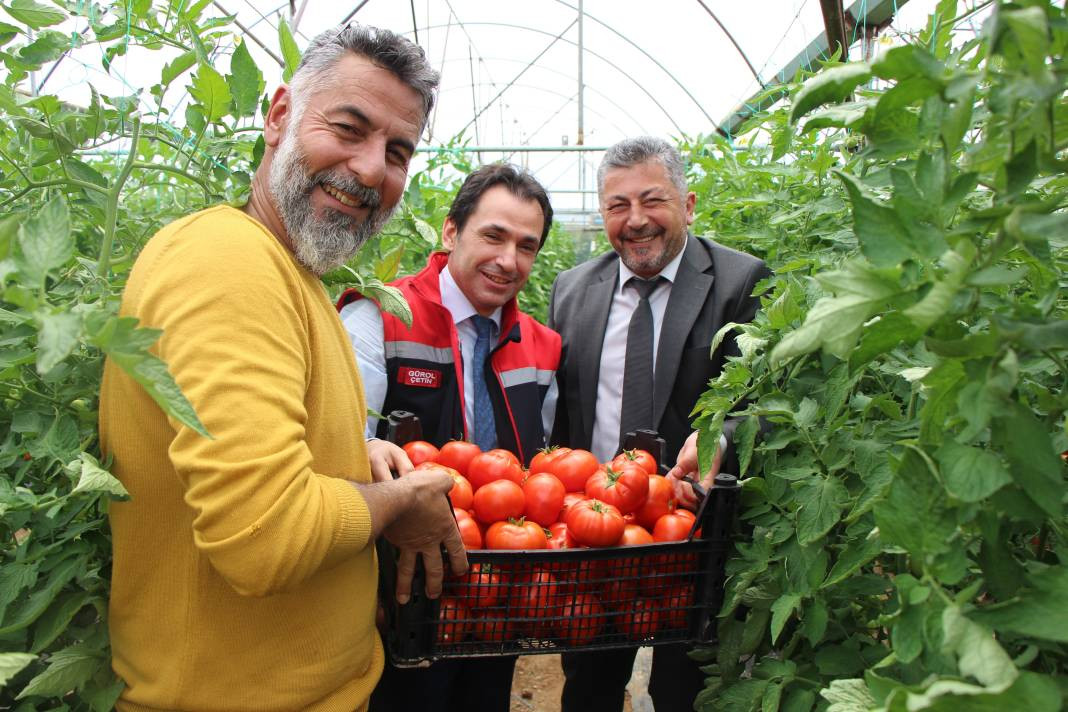 Kilosu serada 20 TL'den gidiyor! Ürünler kızarınca satışa sunuldu - Resim: 3