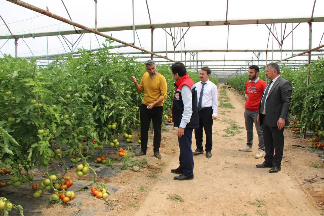 Kilosu serada 20 TL'den gidiyor! Ürünler kızarınca satışa sunuldu - Resim: 5