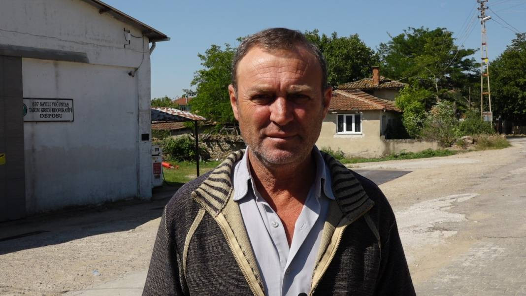 Çiftçinin kabusu oldu: Hububatı hastalığa sürüklüyor - Resim: 6