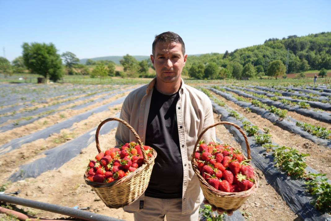 Çilekler seç-al sloganıyla satılıyor! Çevre illerden gelen bile var - Resim: 5