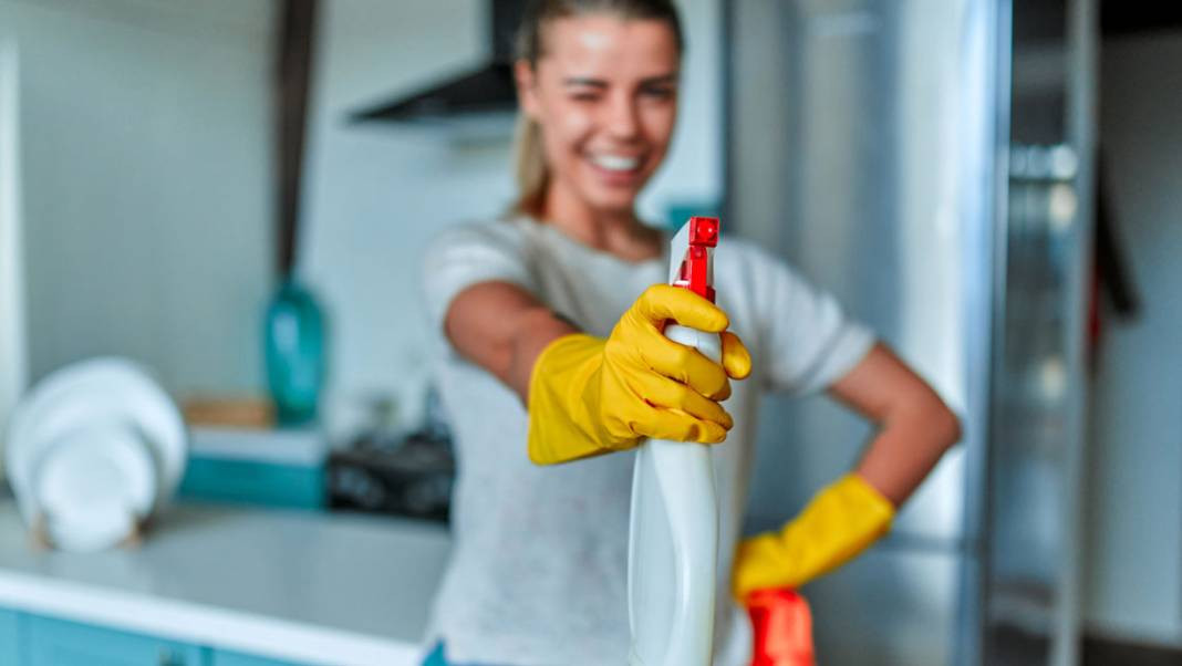 Temizliğin 4 doğal yolu nedir? - Resim: 10