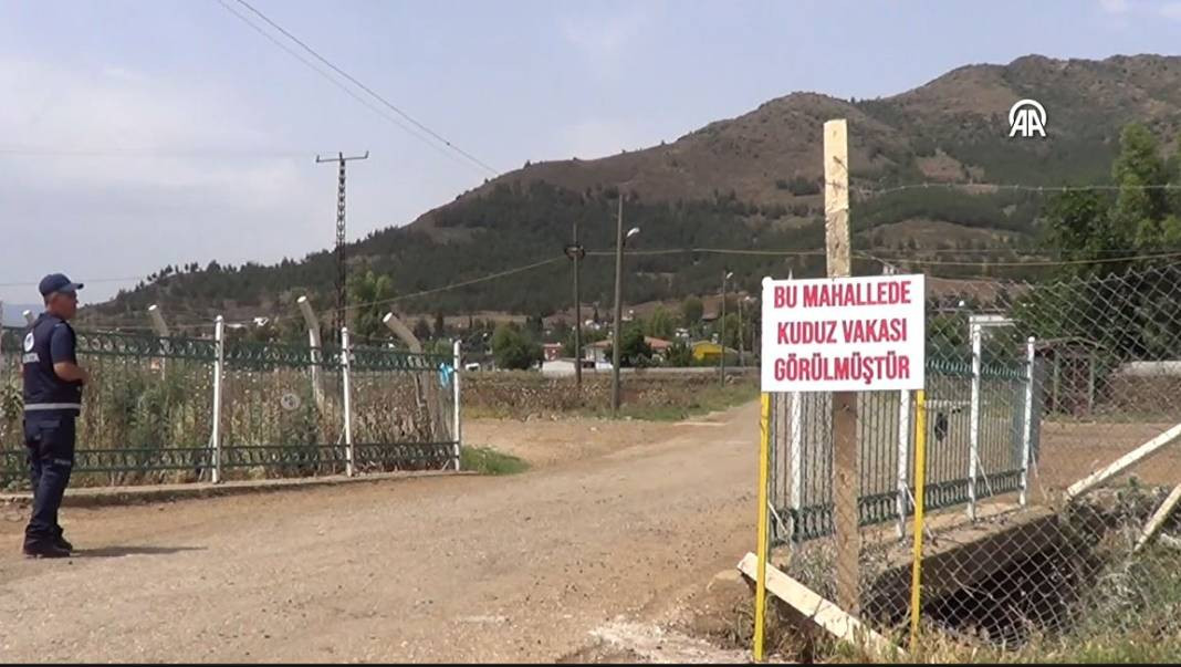 Kuduz alarmı. İki mahalle karantinada - Resim: 9