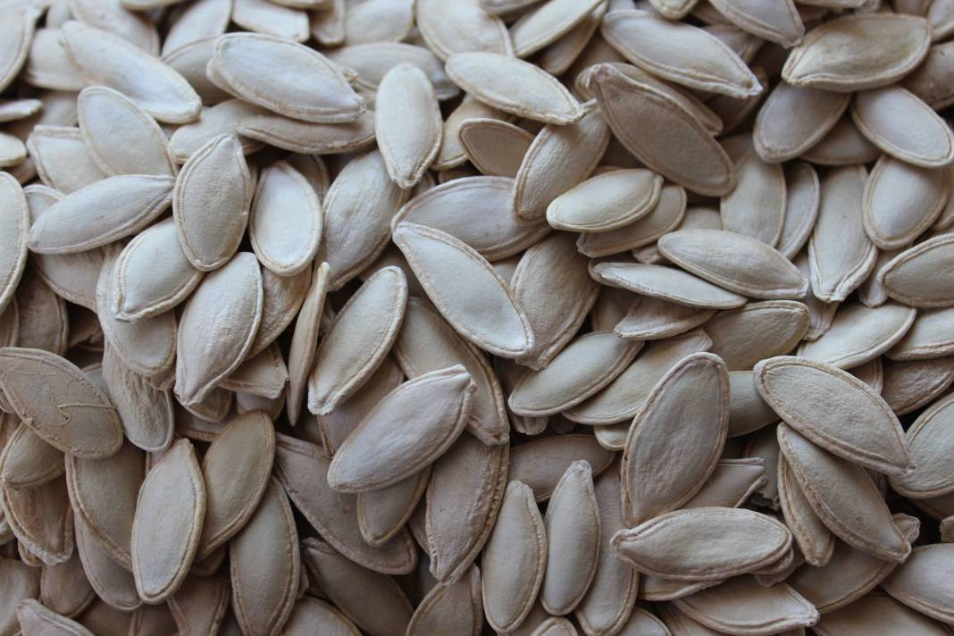 Kabak çekirdeğinin kabuğu şifa deposu çıktı. O problemi kökten bitiriyor - Resim: 8